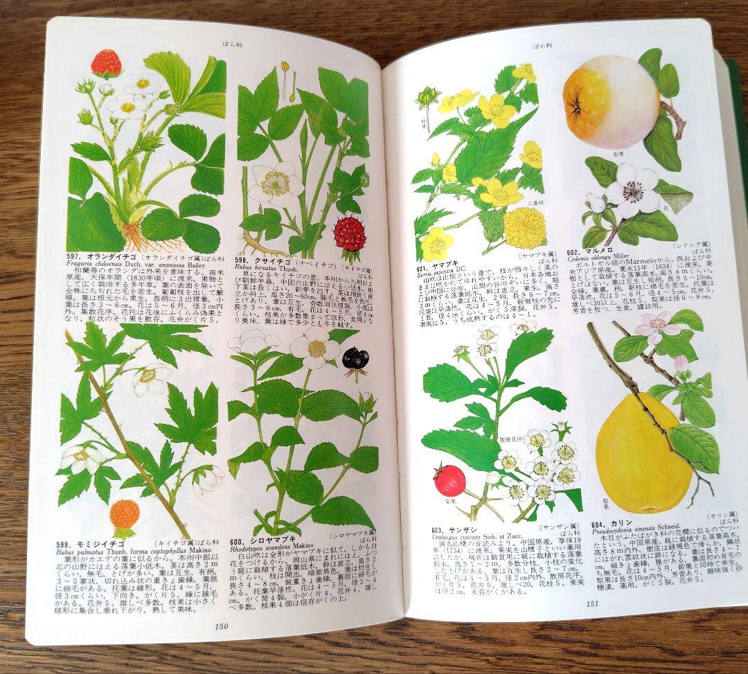 【原色牧野日本植物図鑑 コンパクト版】【原色樹木図鑑】5冊牧野富太郎