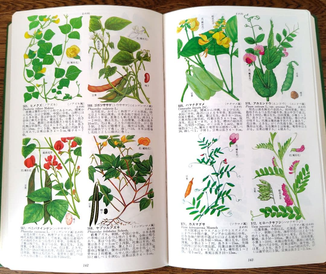 【原色牧野日本植物図鑑 コンパクト版】【原色樹木図鑑】5冊牧野富太郎