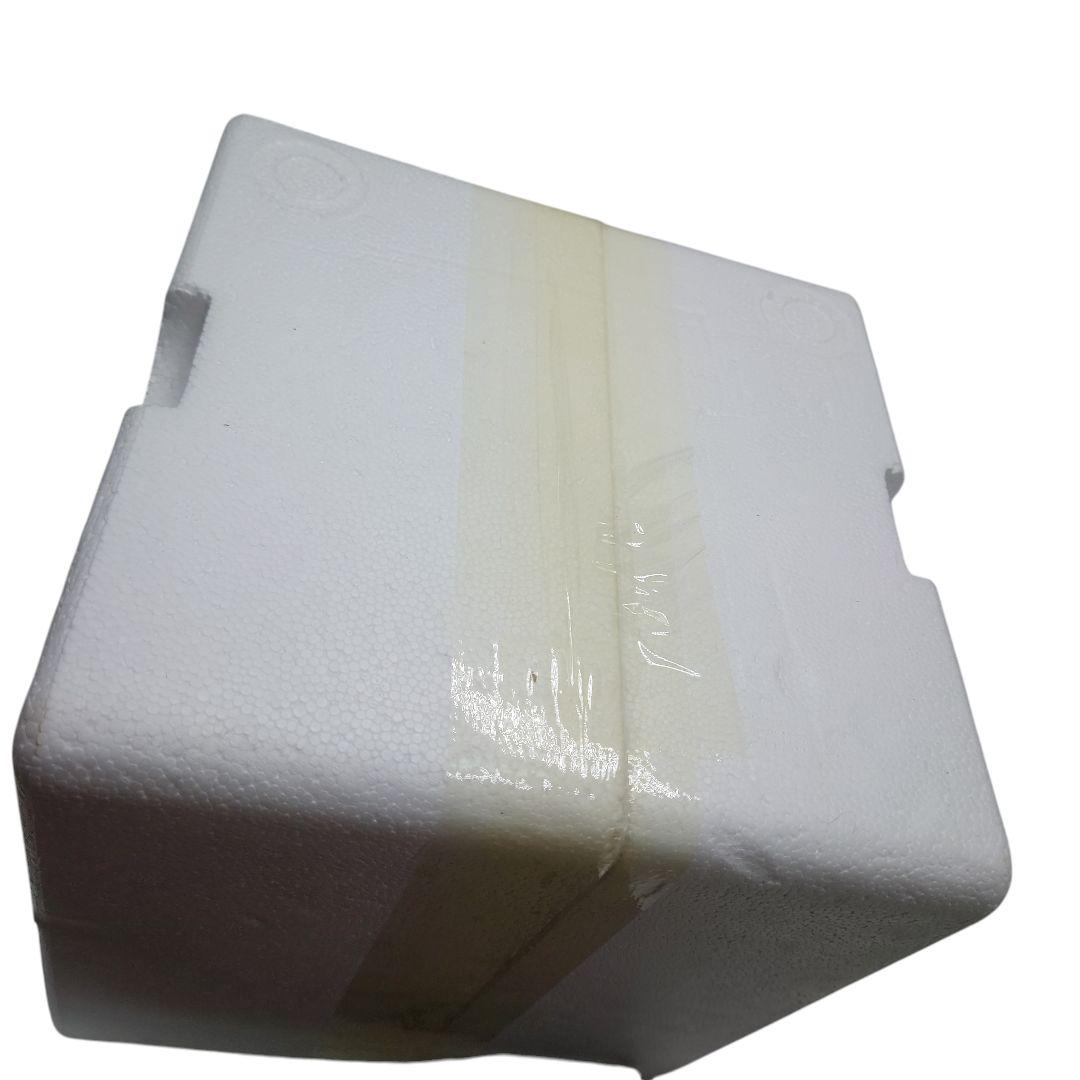 激レア ポケモン　ポケモンセンター　20周年記念 時計　受注生産品　未開封