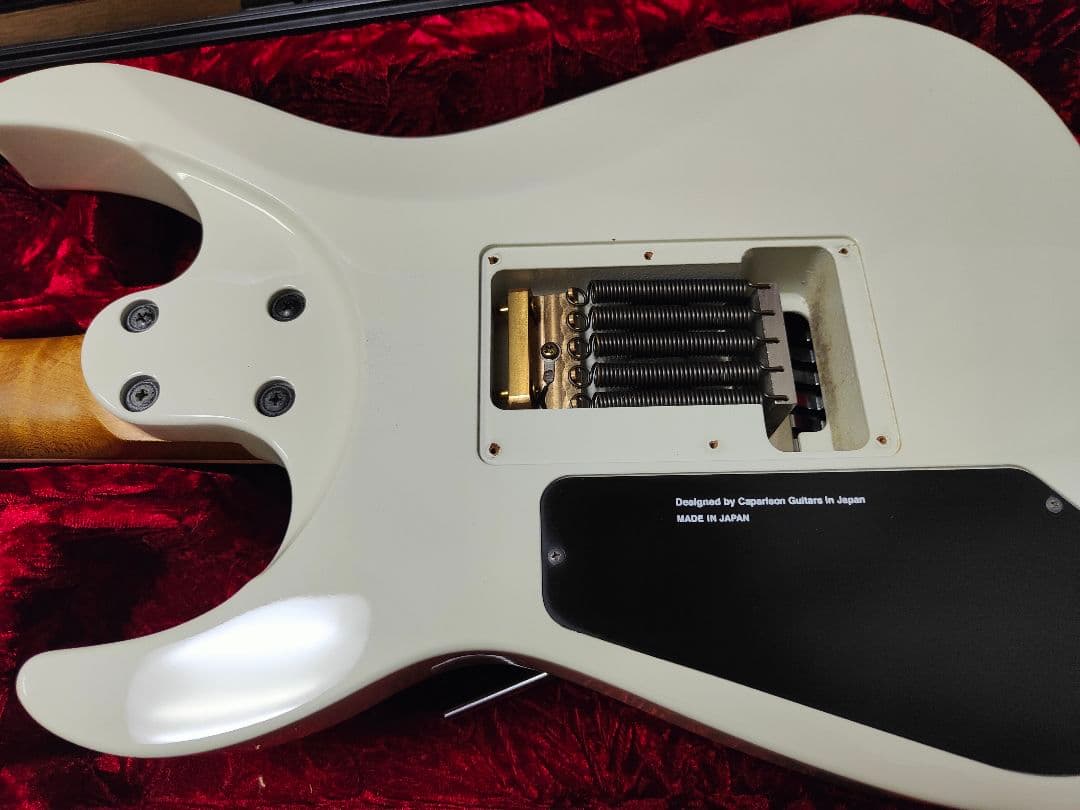 CAPARISON DELIINGER CA クリストファーアモットモデル