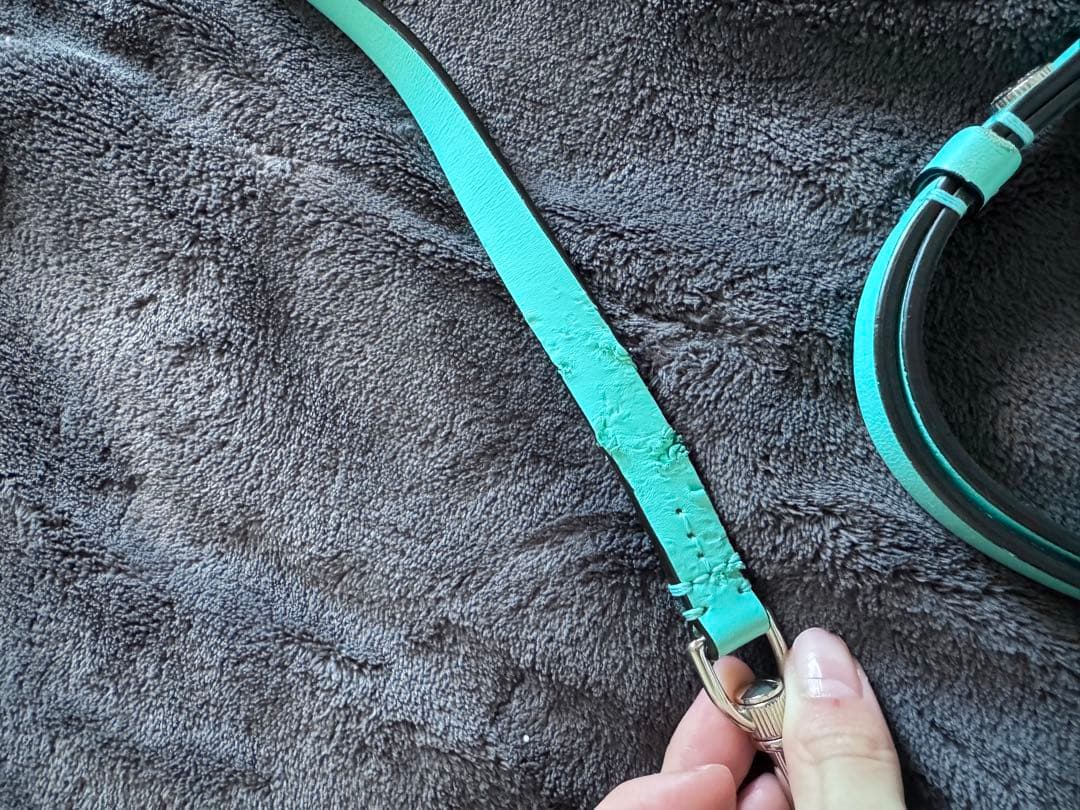 Tiffany & Co. ティファニー 首輪 カラー リード　セット　犬　XS