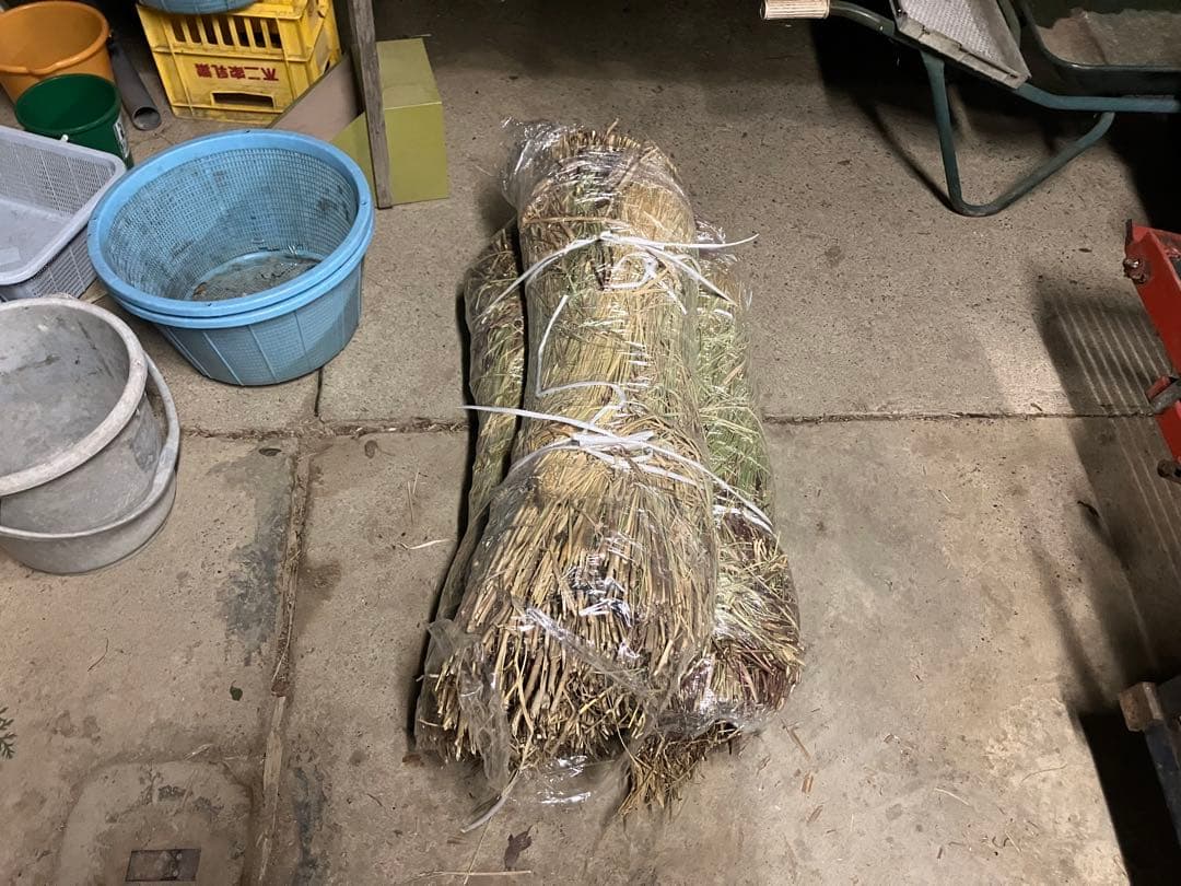 【R7年10月2日刈取り】無農薬稲わら 【有機栽培約14kg】岩手県一関市発