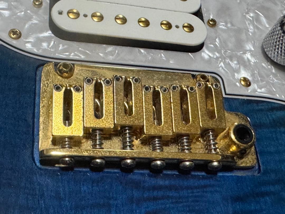 ギター (Fujigen) Expert OS(EOS)