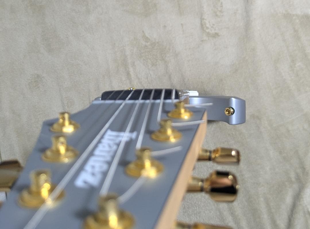 ギター Ibanez / RGDMS8 CSM