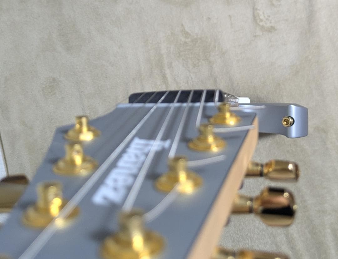 ギター Ibanez / RGDMS8 CSM