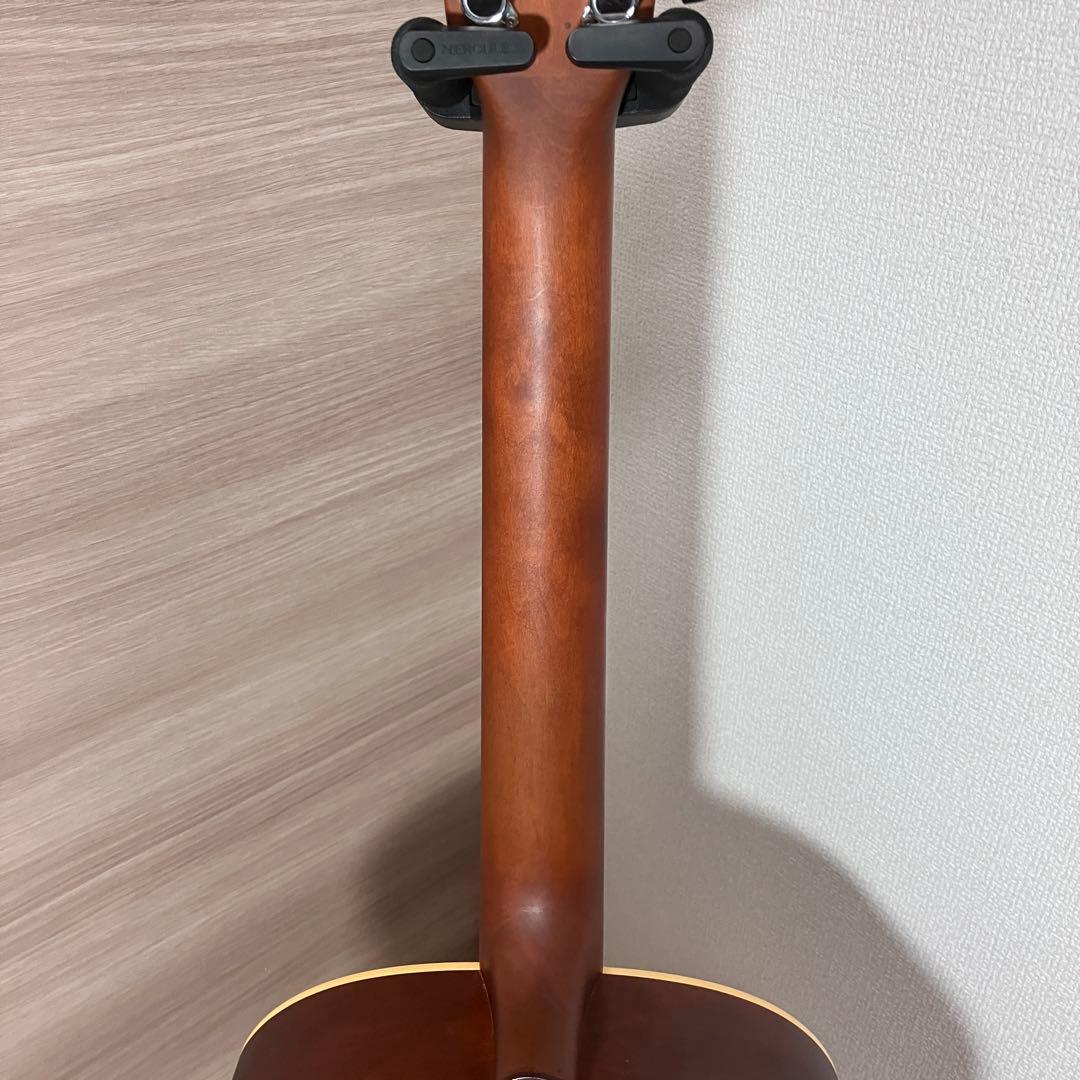 【ケース付】アートルシアー　Dreadnought CEDAR