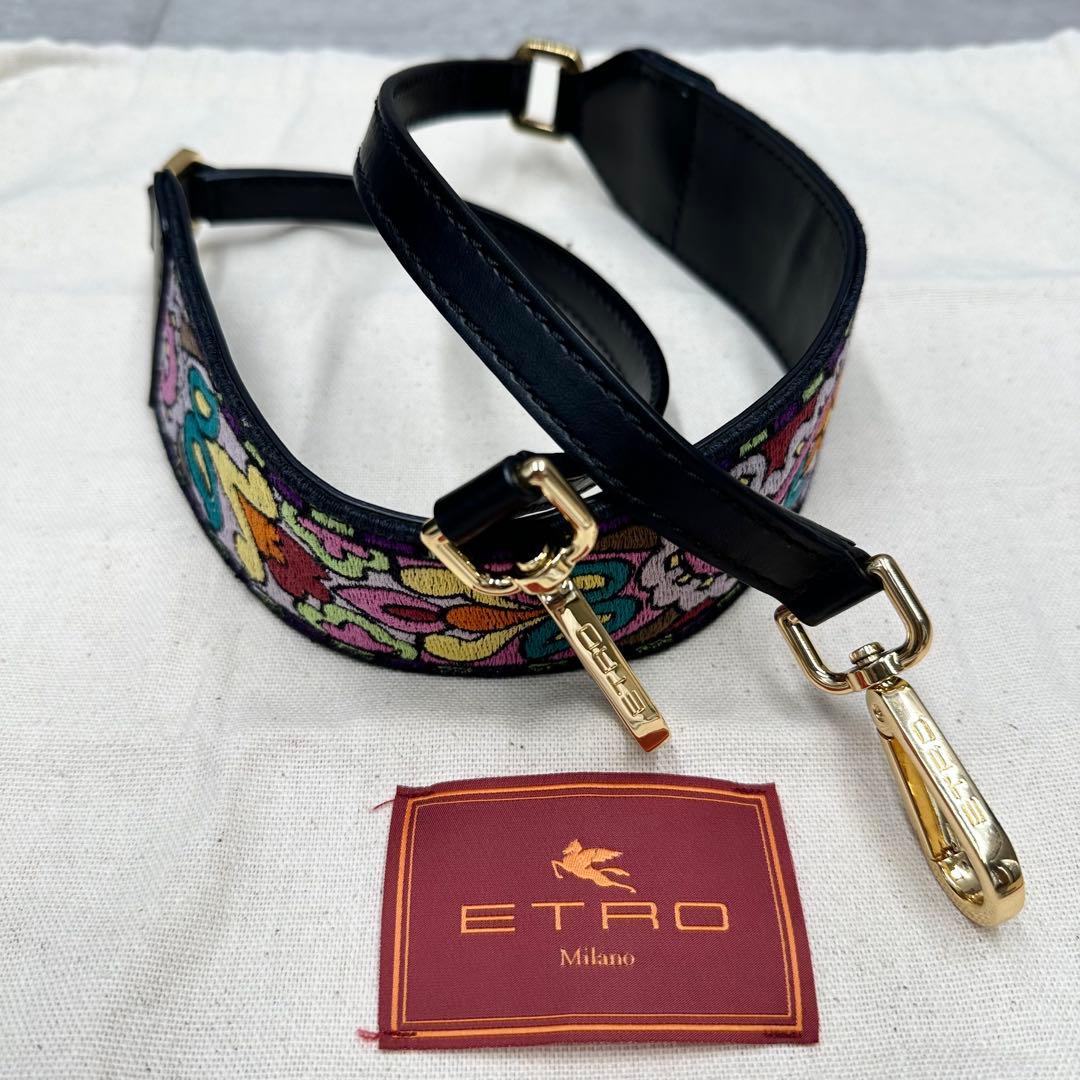 極美品✨エトロ レインボーバッグ ハンドバッグ 2way ペイズリー