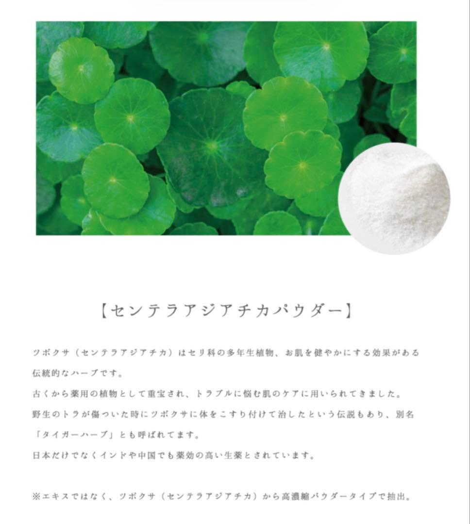 値下げ【セット】スピケアV3セットアップパウダー&パーティクルプライマー