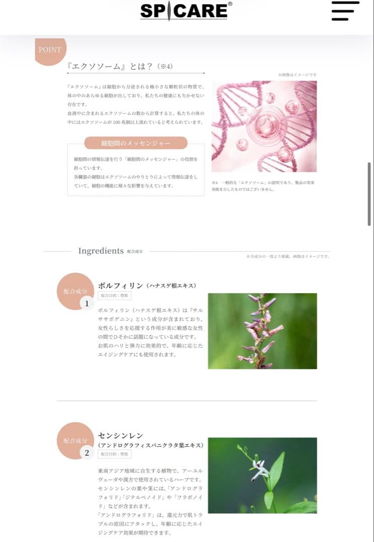 値下げ【セット】スピケアV3セットアップパウダー&パーティクルプライマー