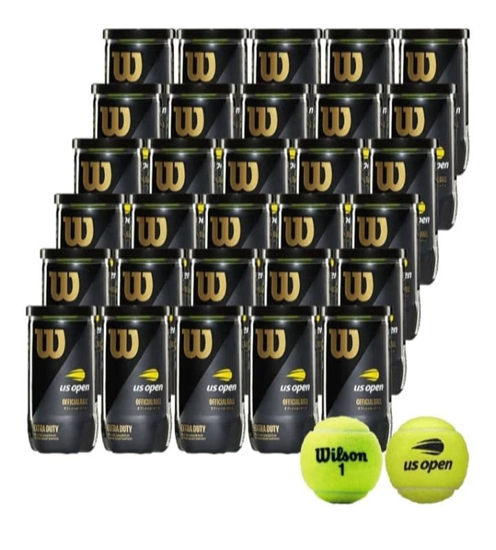 Wilson テニスボール エクストラ デューティ Extra Duty　60球
