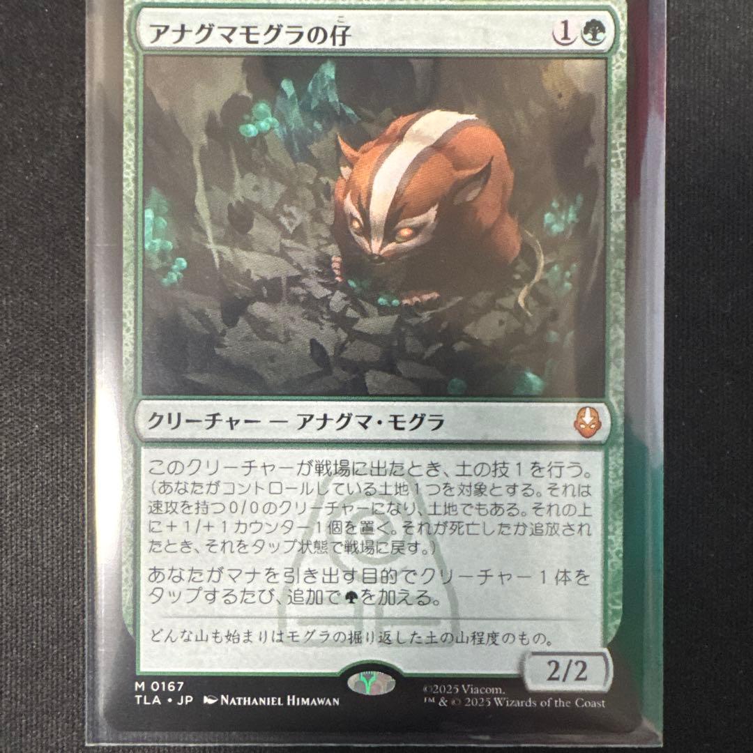 アナグマモグラの仔