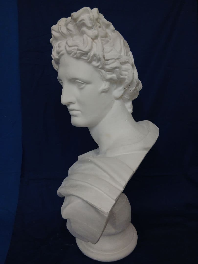 アポロ胸像。81cm