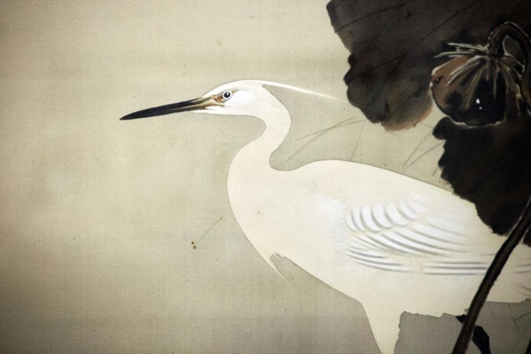 岡田櫻邨「鷺図」絹本、日本画