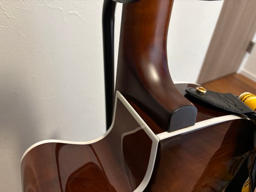 Seagull エレアコ サンバースト