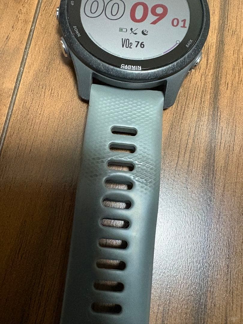 その他 FORERUNNER 255