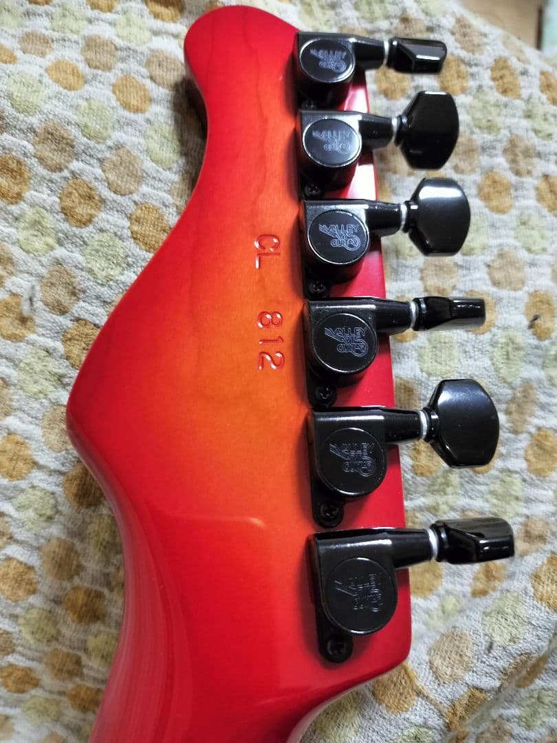 VALLEY ARTS Custom Line Limited Mシリーズ