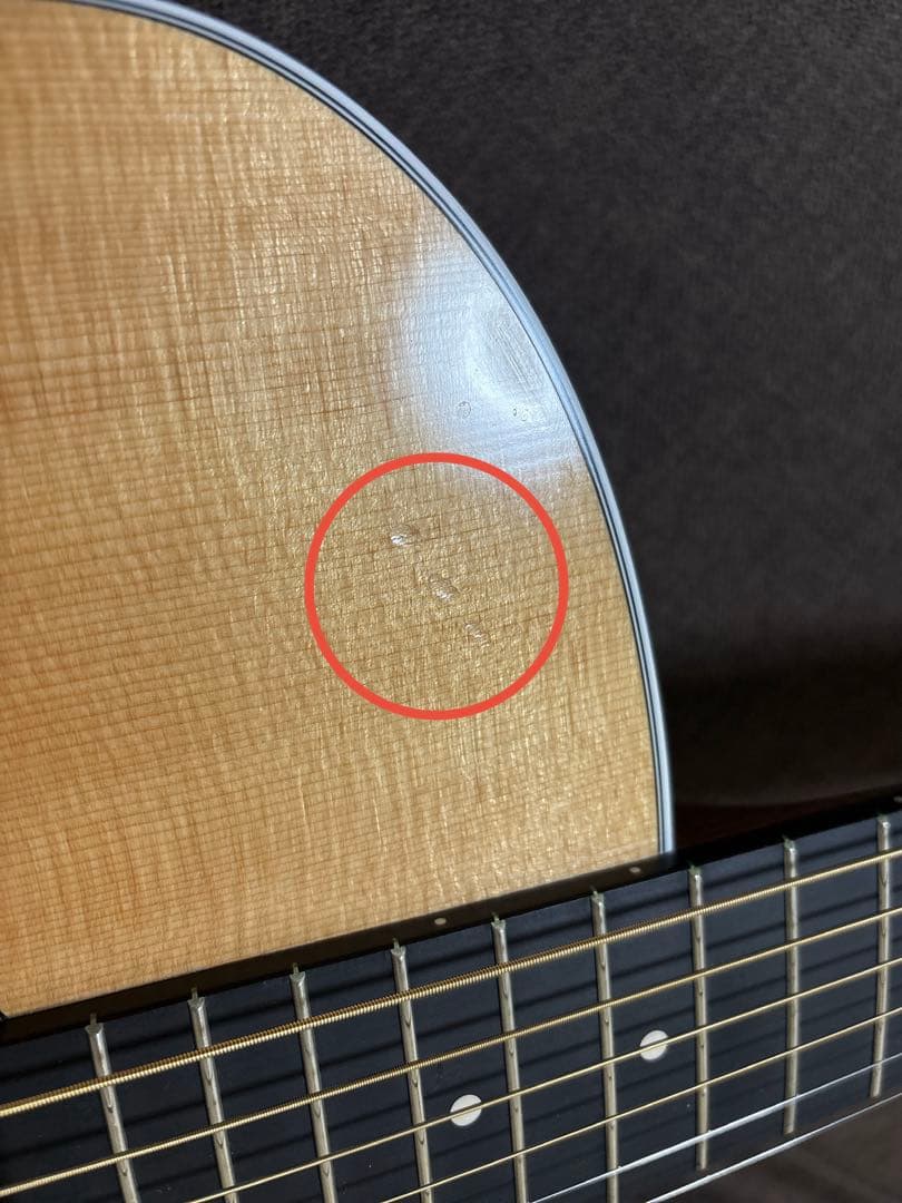 Martin & Co. アコースティックギター GPCPA4 Rosewood