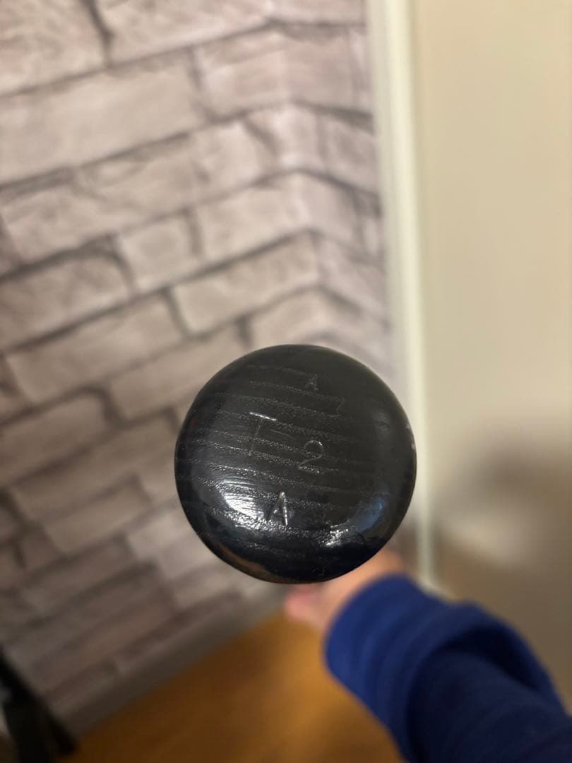 城島健司 直筆サイン入りバット 実使用 阪神タイガース