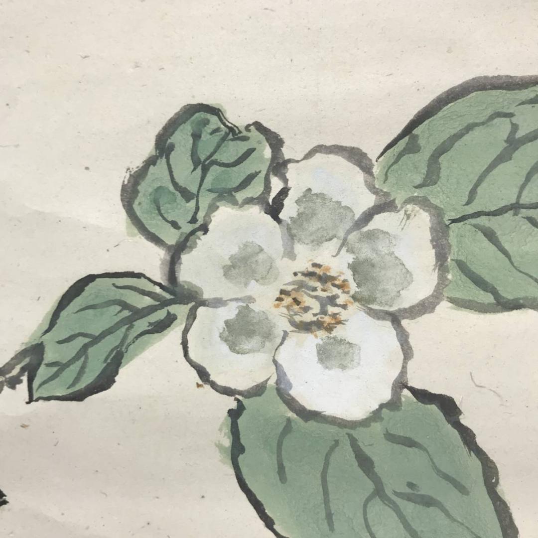 【真作】武者小路実篤/花図/横物/掛軸/名家伝来/AC-143