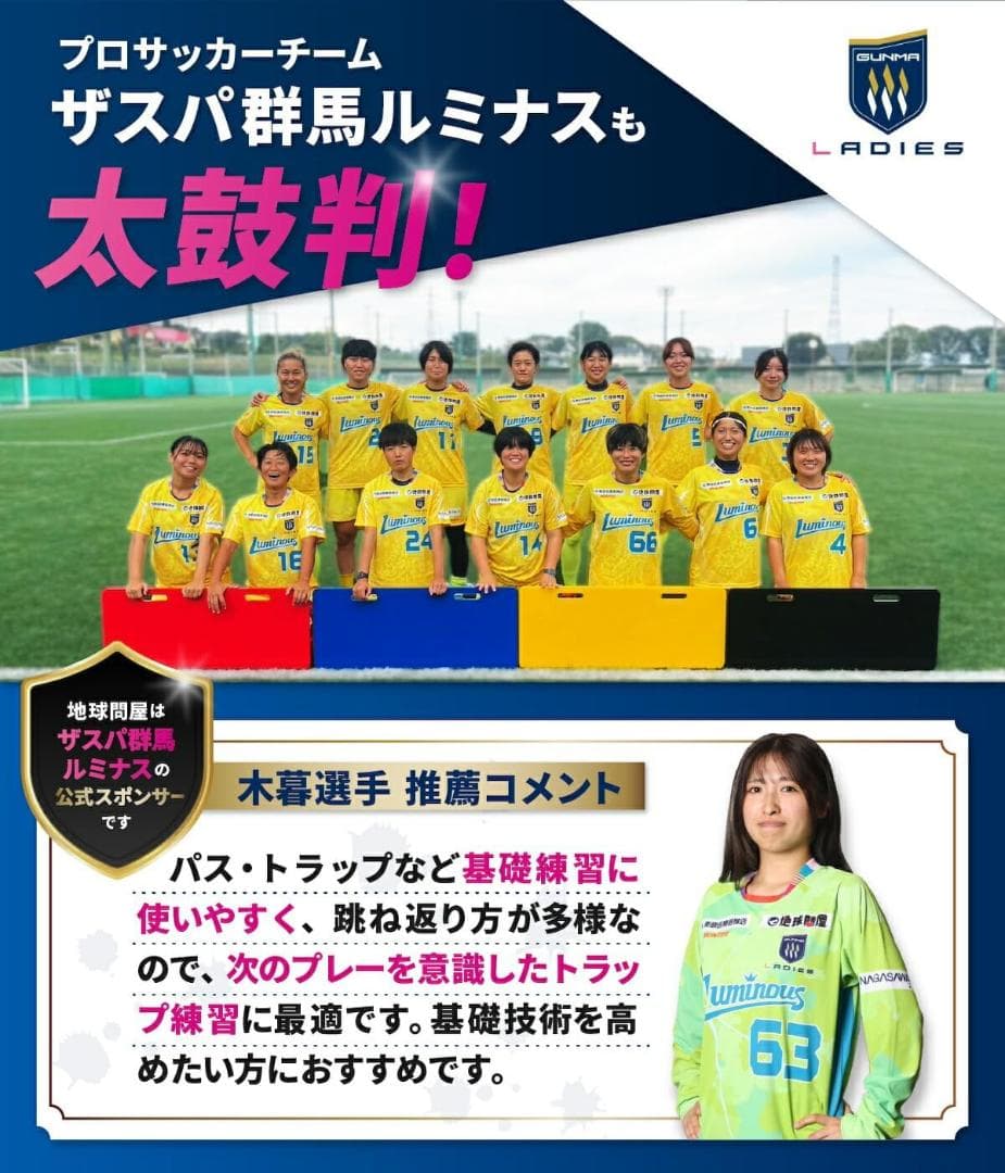 KaRaDaStyle リバウンドボード サッカー 練習 壁打ち 角度調整可