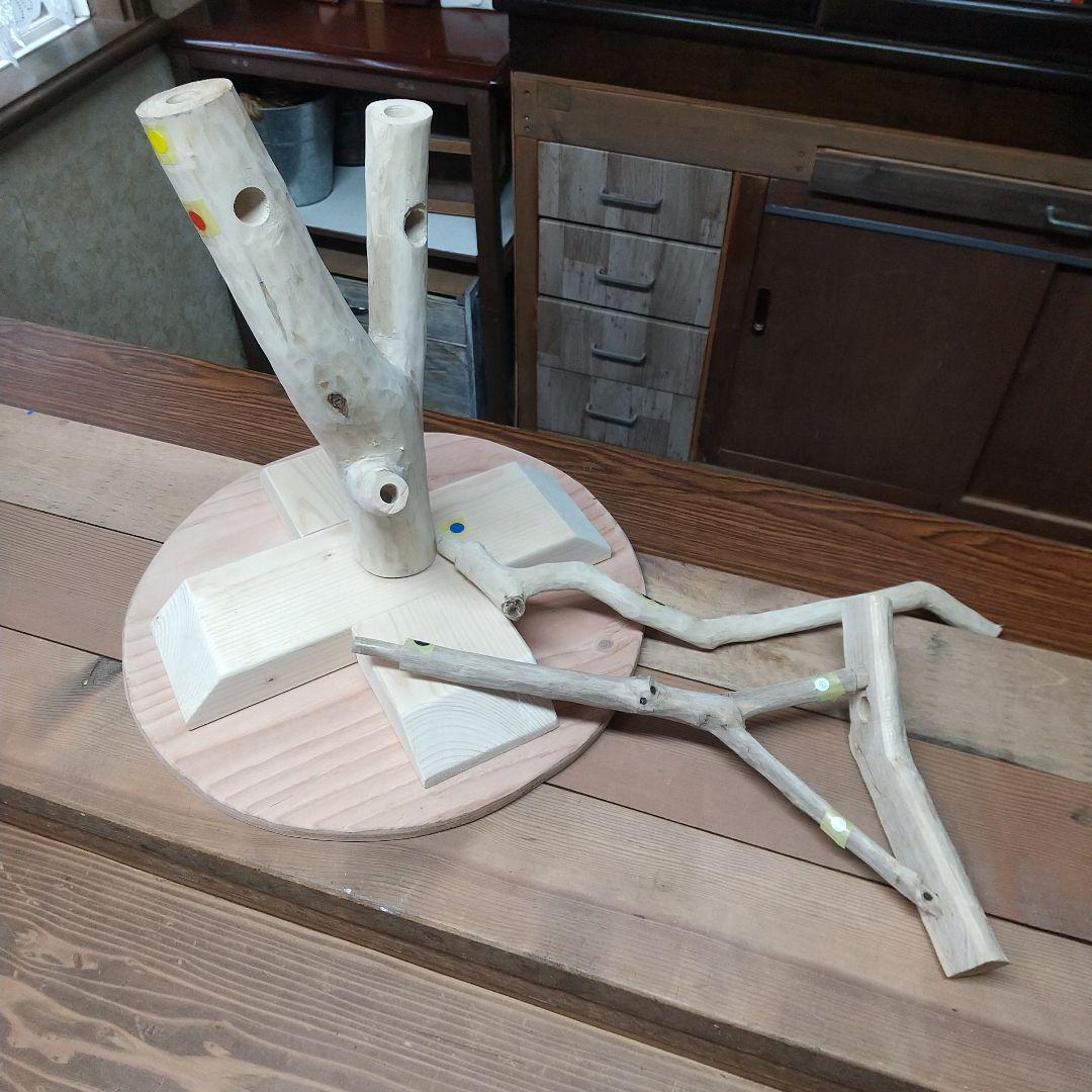 インコバードアスレチックジム楽園シリーズ⑤