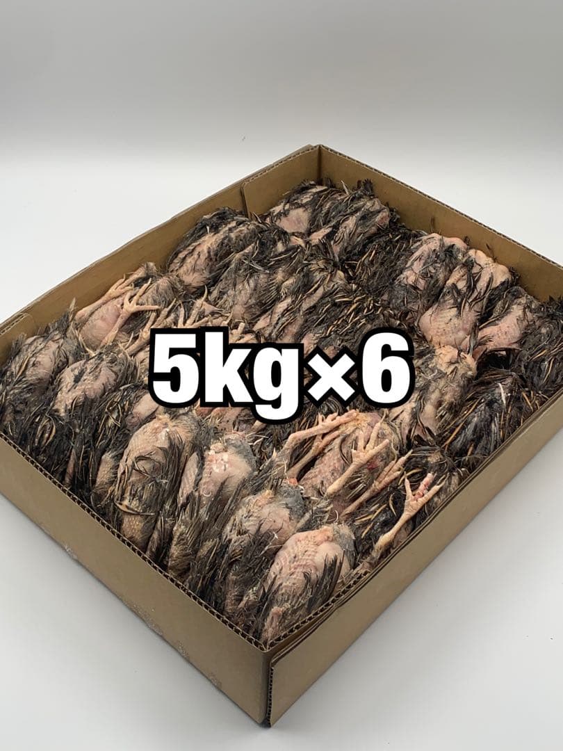 冷凍ウズラ5kg×6段【送料込】