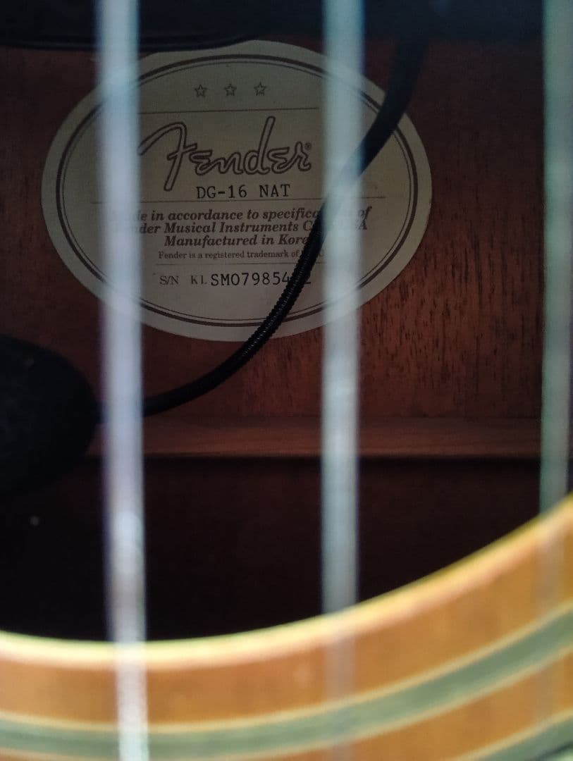 Fender DG-16NATアコースティックギターハードケース、ピックアップ付