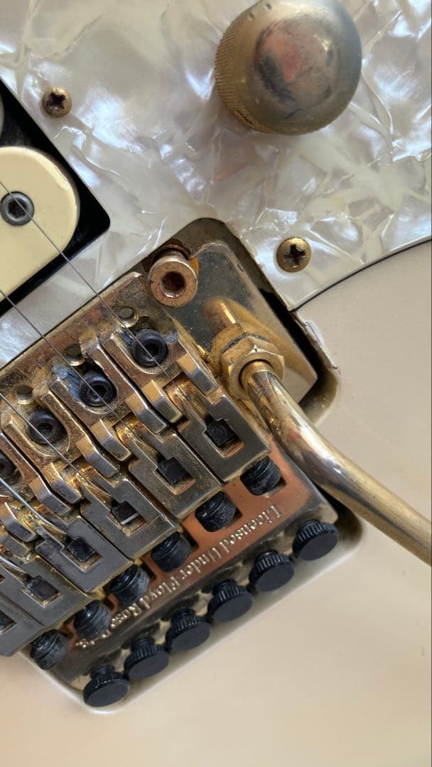 専用 RITAO CHAN公式アカウント05様FERNANDES LA-80KK