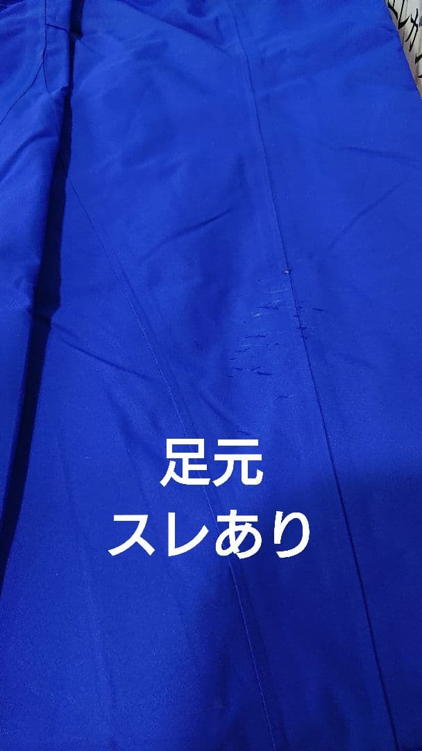 Phoenix スキーウェア上下 青色 メンズ