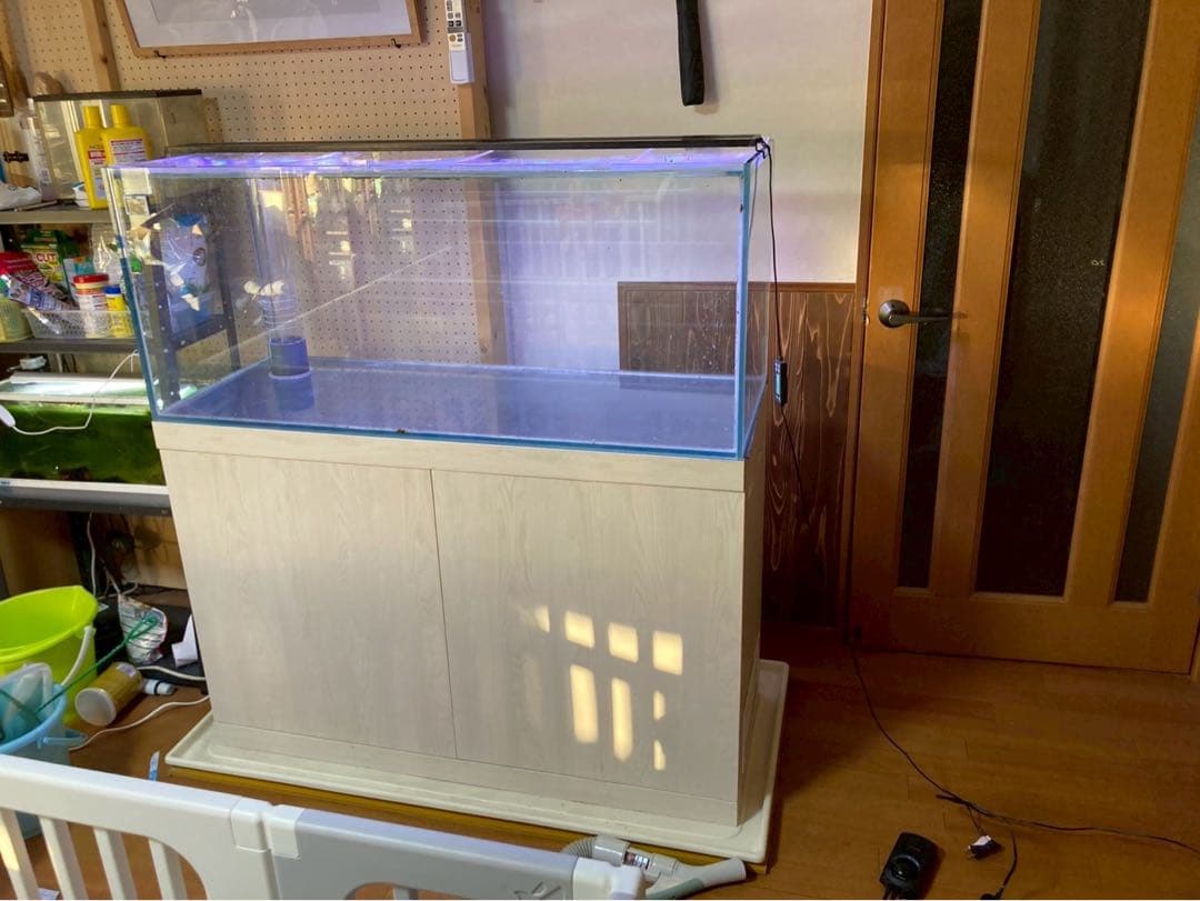 120センチ水槽（引き取り限定）
