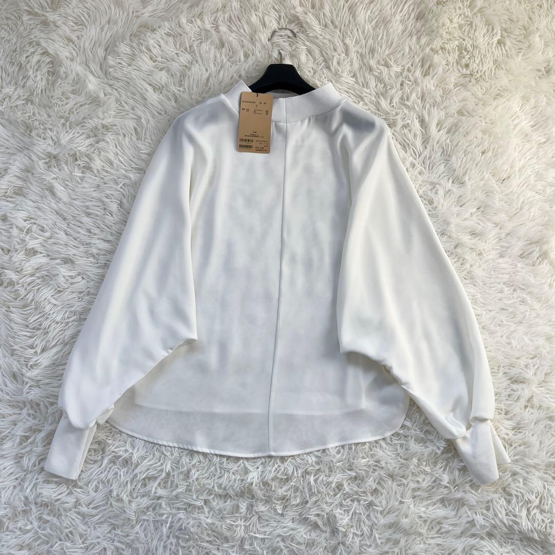 ◎ハッチマル◎専用 タグ付　ビアズリー ニットコンビドルマンブラウス　Fサイズ