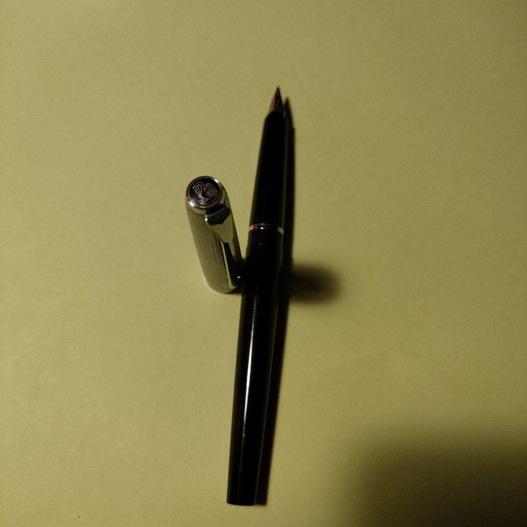 pelikan 12 silvexa ペリカン 万年筆