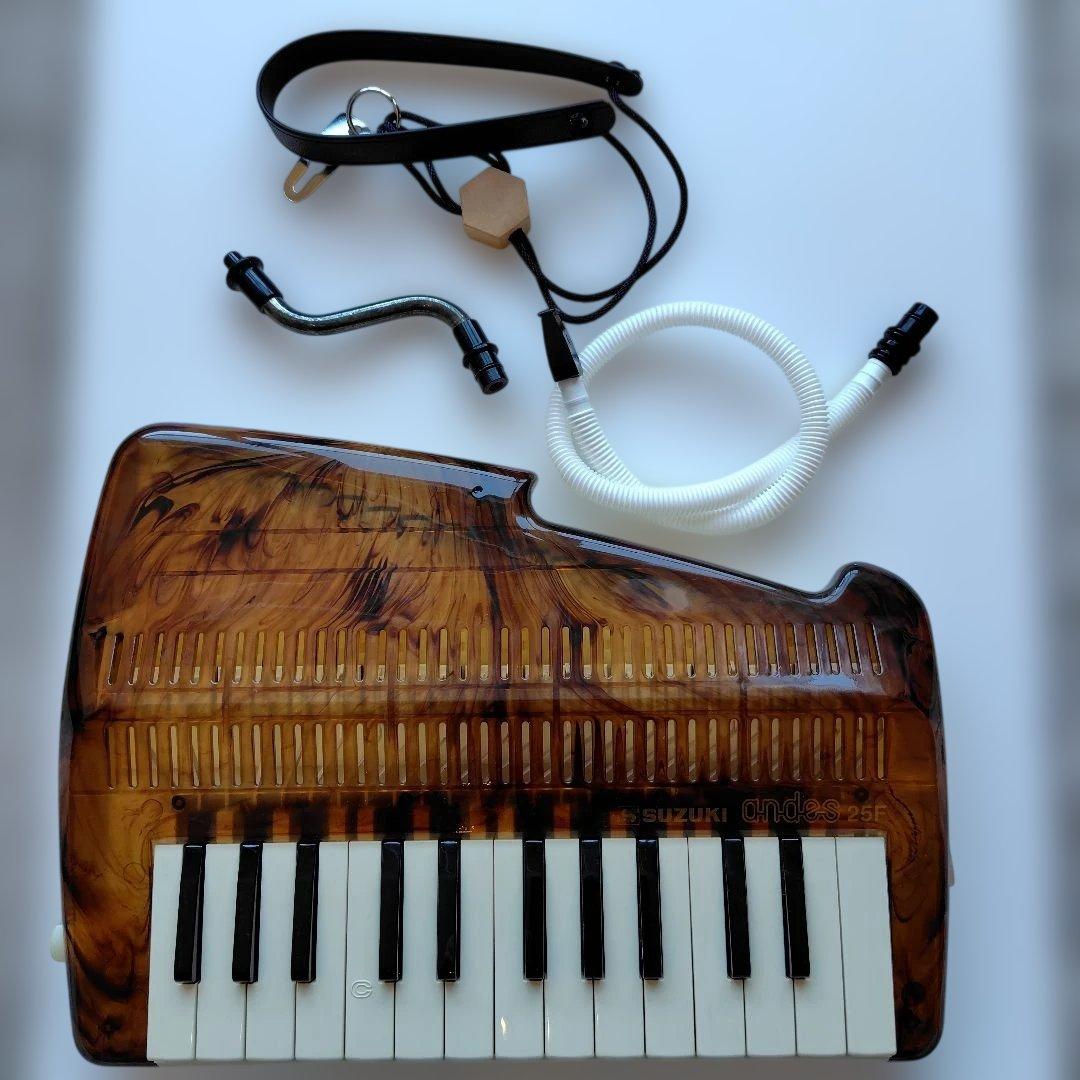 スズキ アンデス 25F べっ甲柄