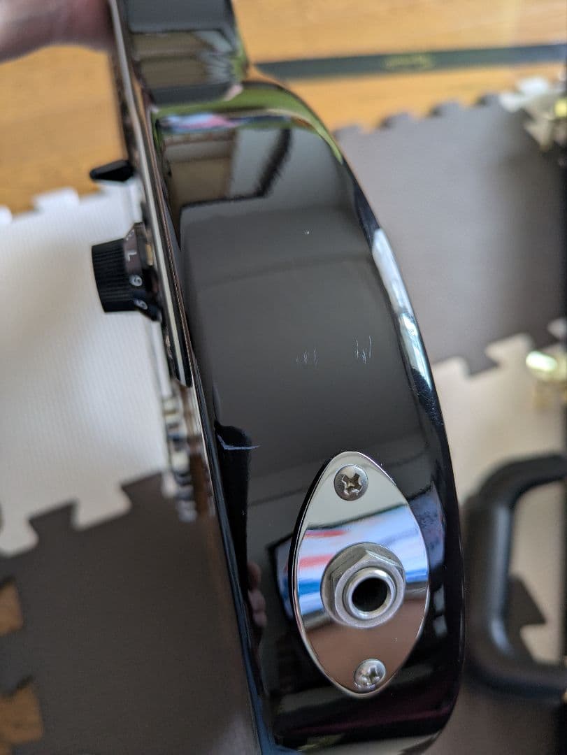 Fujigen エレキギター EOS expert os oder