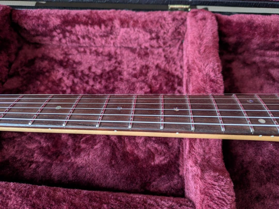 Fujigen エレキギター EOS expert os oder