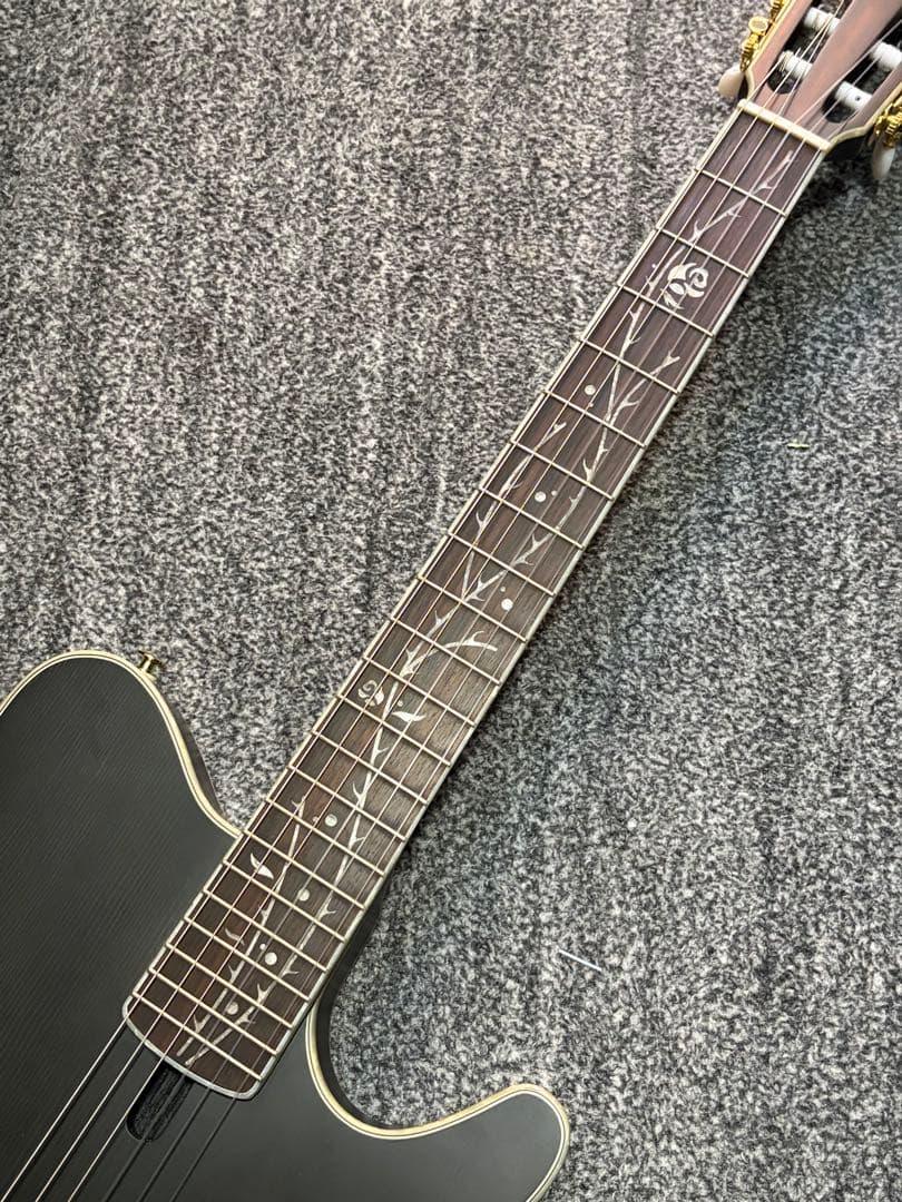 ibanez TOD10N ティム・ヘンソン　エレガット