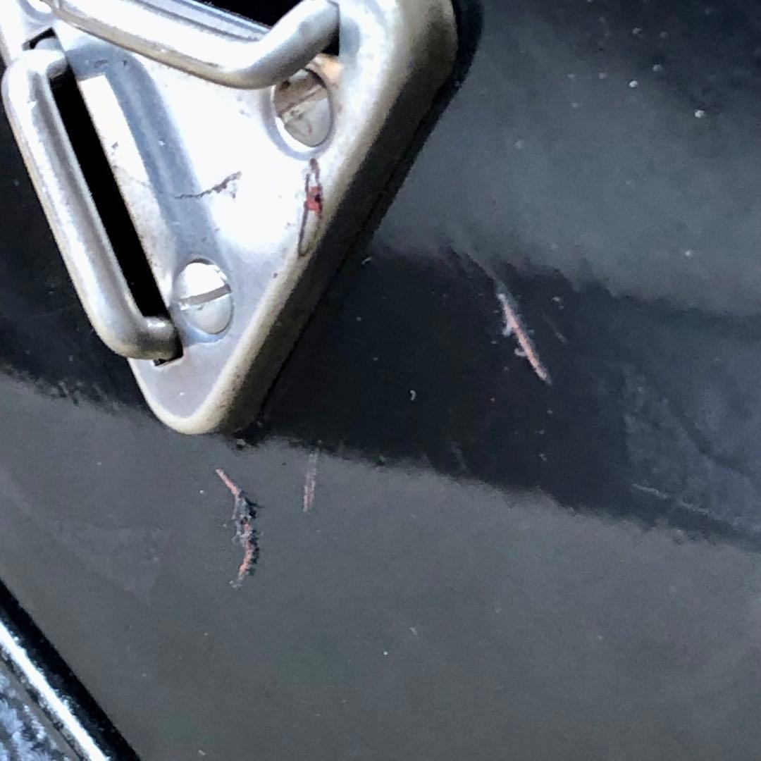 Hohner Corso De Luxe ボタンアコーディオン 独製 ホーナー