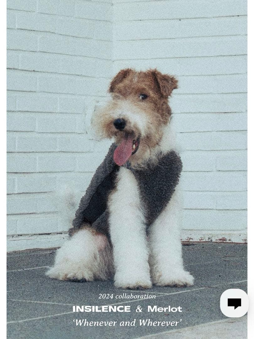 INSILENCE × Merlot グレー フリース 犬服 Lサイズ