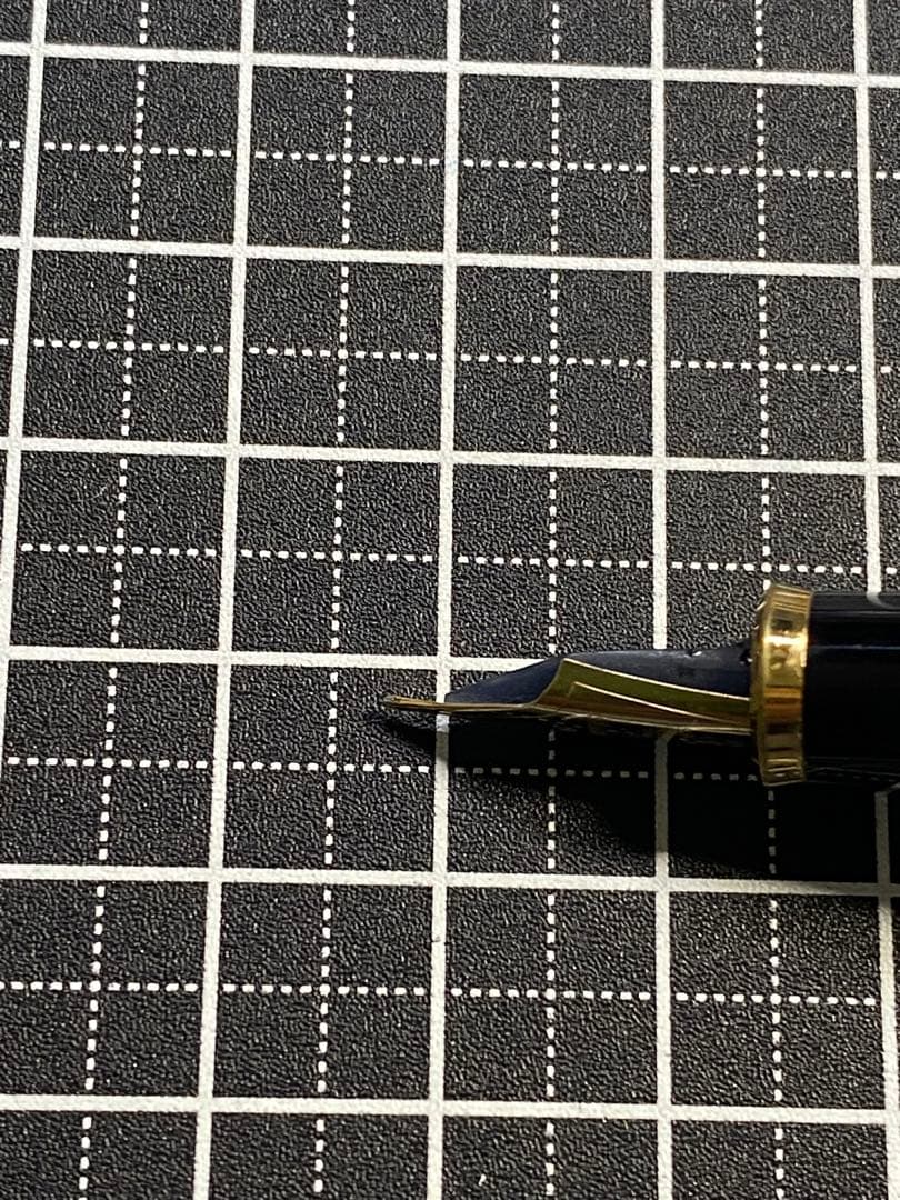 Burberry NOVA 布張り　万年筆　字幅M