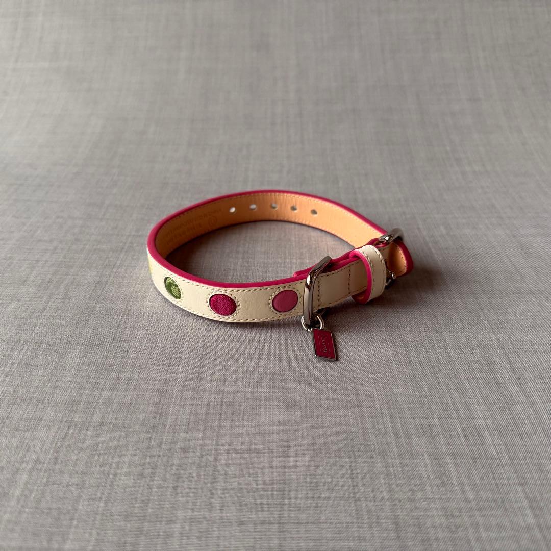 未使用 COACH コーチ ドッグカラー 小型犬様 ドット柄