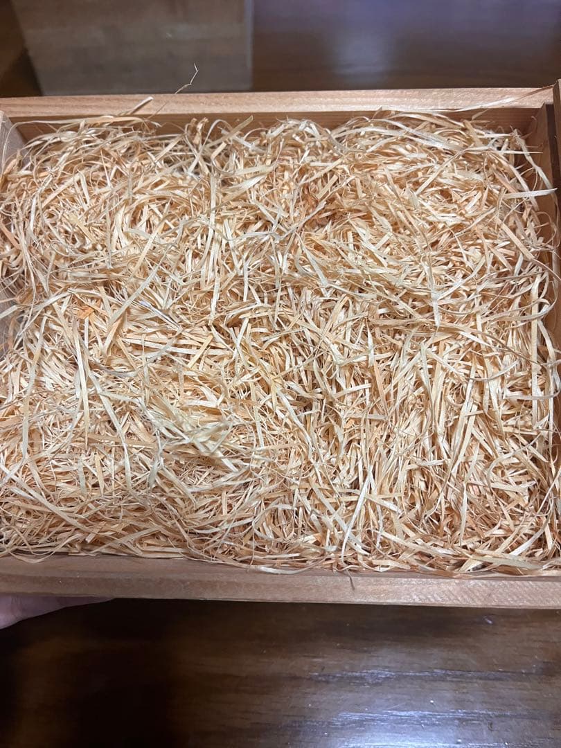 備前焼 木村陶峰 煎茶器 宝瓶 湯冷まし 茶杯セット