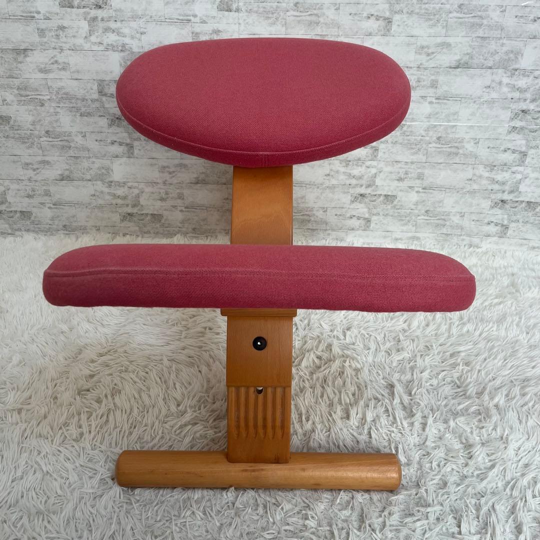 リボ Rybo バランスイージー バランスラボ　balans®︎EASY