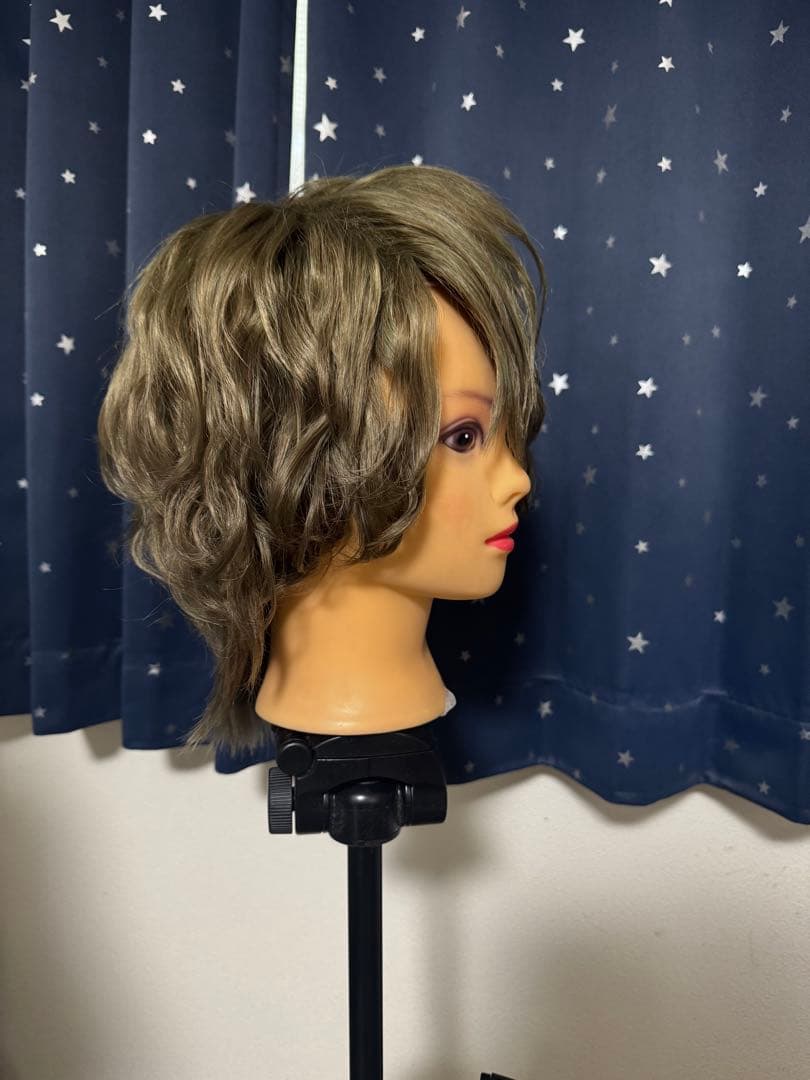 魔法使いの約束 ファウスト コスプレ 衣装 ウィッグ