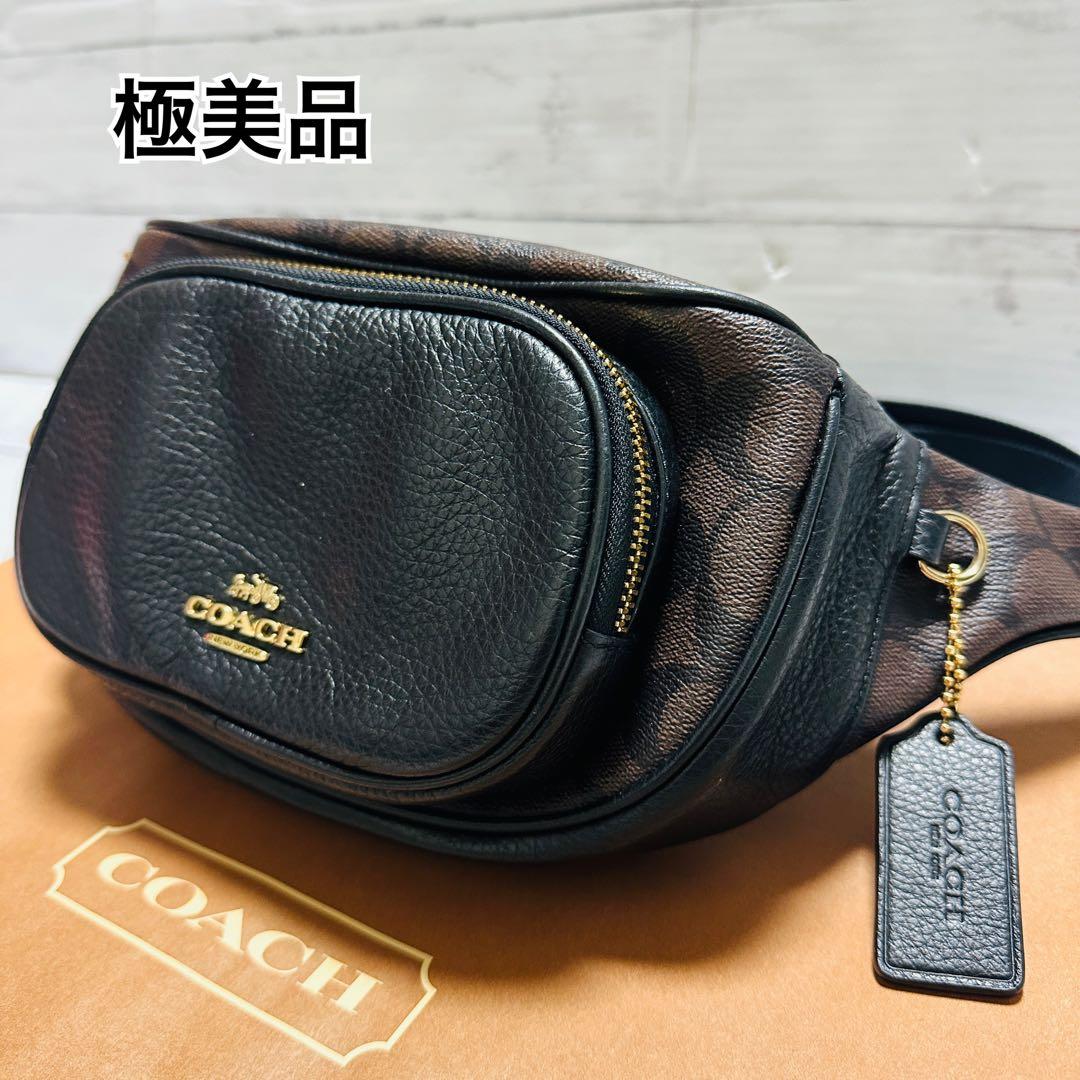 【美品】COACH ボディバッグ ウエストバッグ シグネチャー 6548