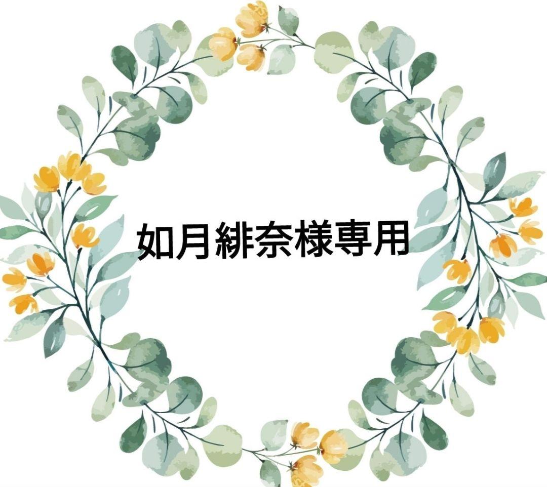 如月緋奈　ミクМ