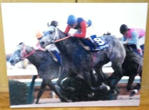 競馬パネル　オグリキャップ