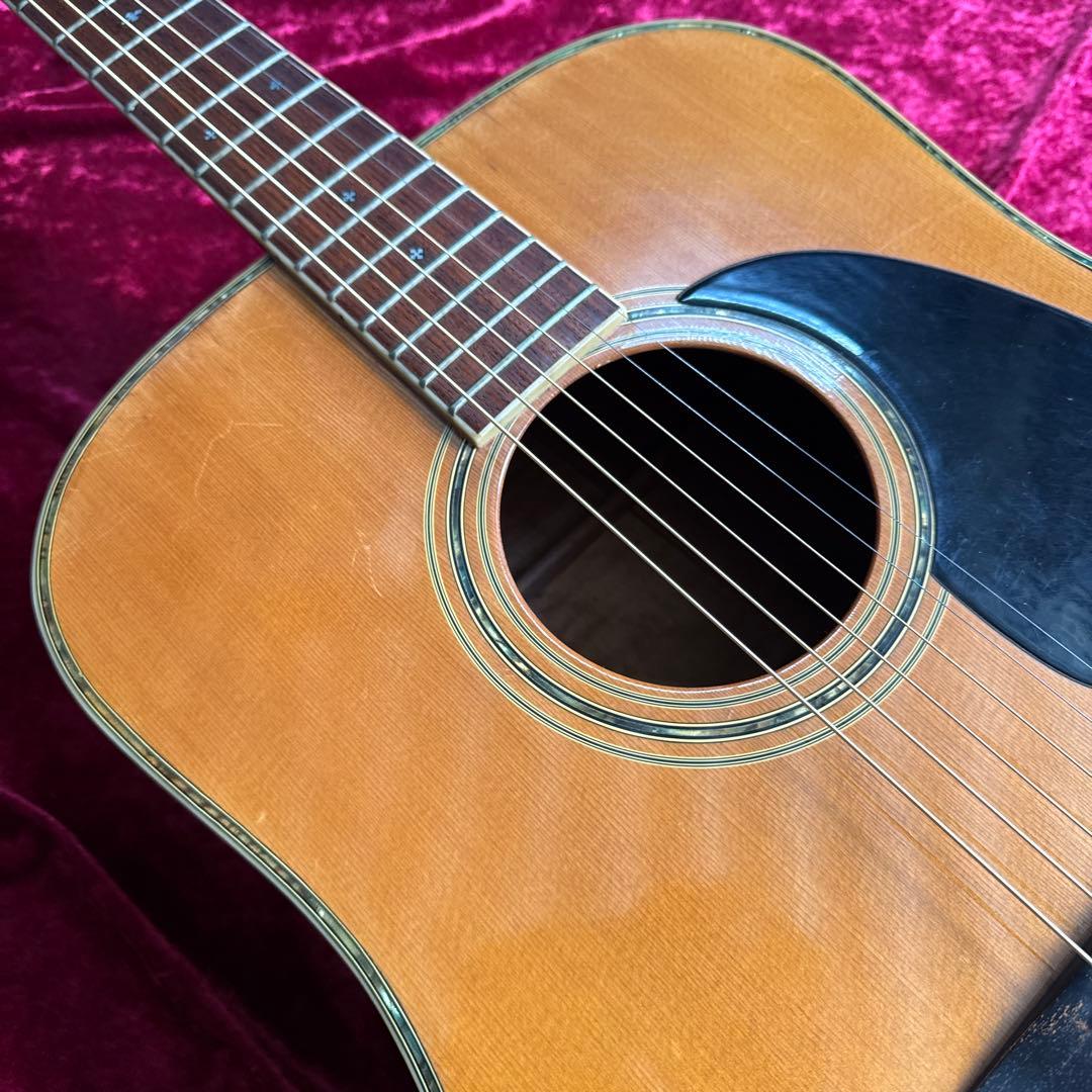 激鳴 TF MORRIS SPECIAL W-50 単板アコースティックギター