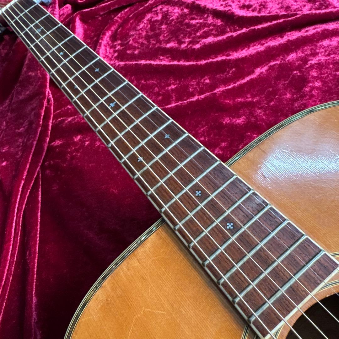 激鳴 TF MORRIS SPECIAL W-50 単板アコースティックギター