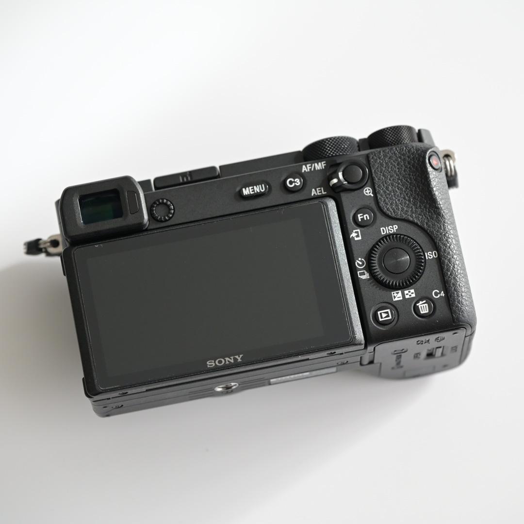 防湿庫保管｜SONY a6600 ＋ Gレンズ 18-105mm F4