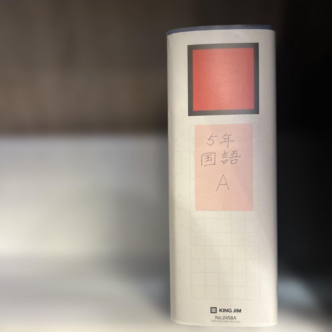 KING JIM パイプ式ファイル B5 3種類　20個